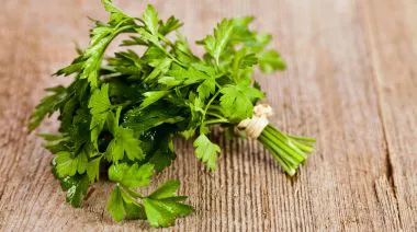 garnishing-instructions-image